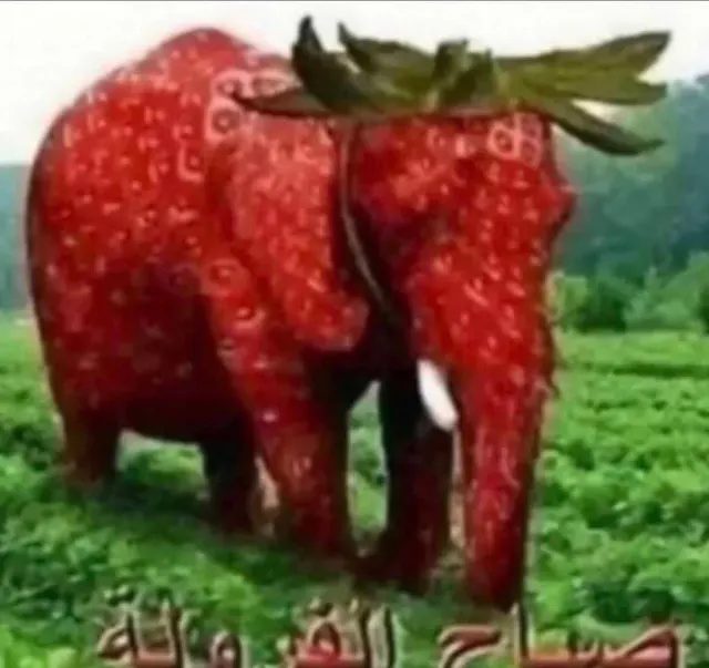 Image shared by chorb