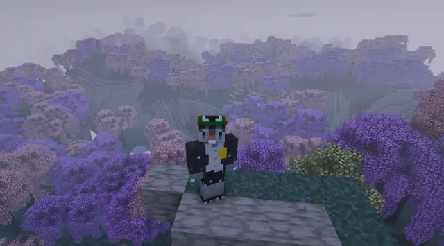 Image shared by Neil2250