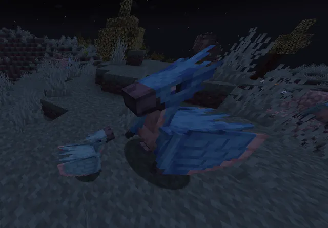 Image shared by kalucky0