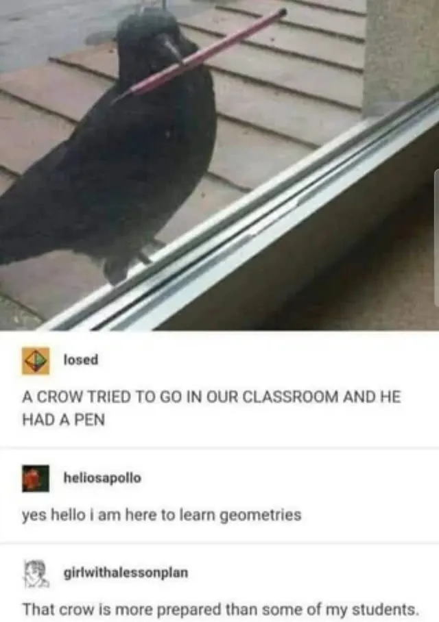 Image shared by epicgamer