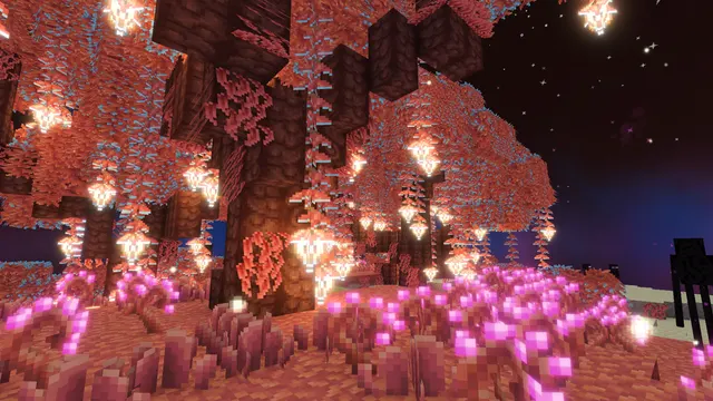 Image shared by SweepSwap