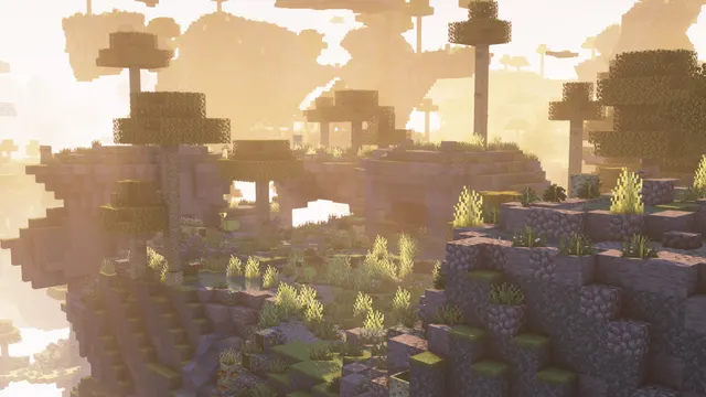 Image shared by IMS