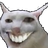 :smilecat: