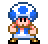 :toad_dance: