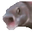 :OOOO: