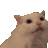 :meow: