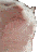 :catvibing: