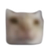 :cscoopST: