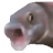 :OOOO: