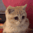 :CarNod: